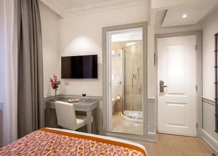 Hotel Della Conciliazione Roma